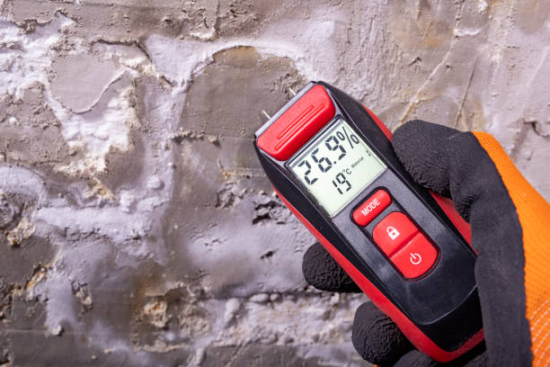 Best Bathroom Mold Remediation in Frostproof, FL