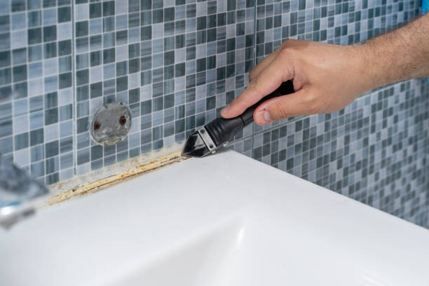 Best Insurance-Related Mold Remediation in Frostproof, FL